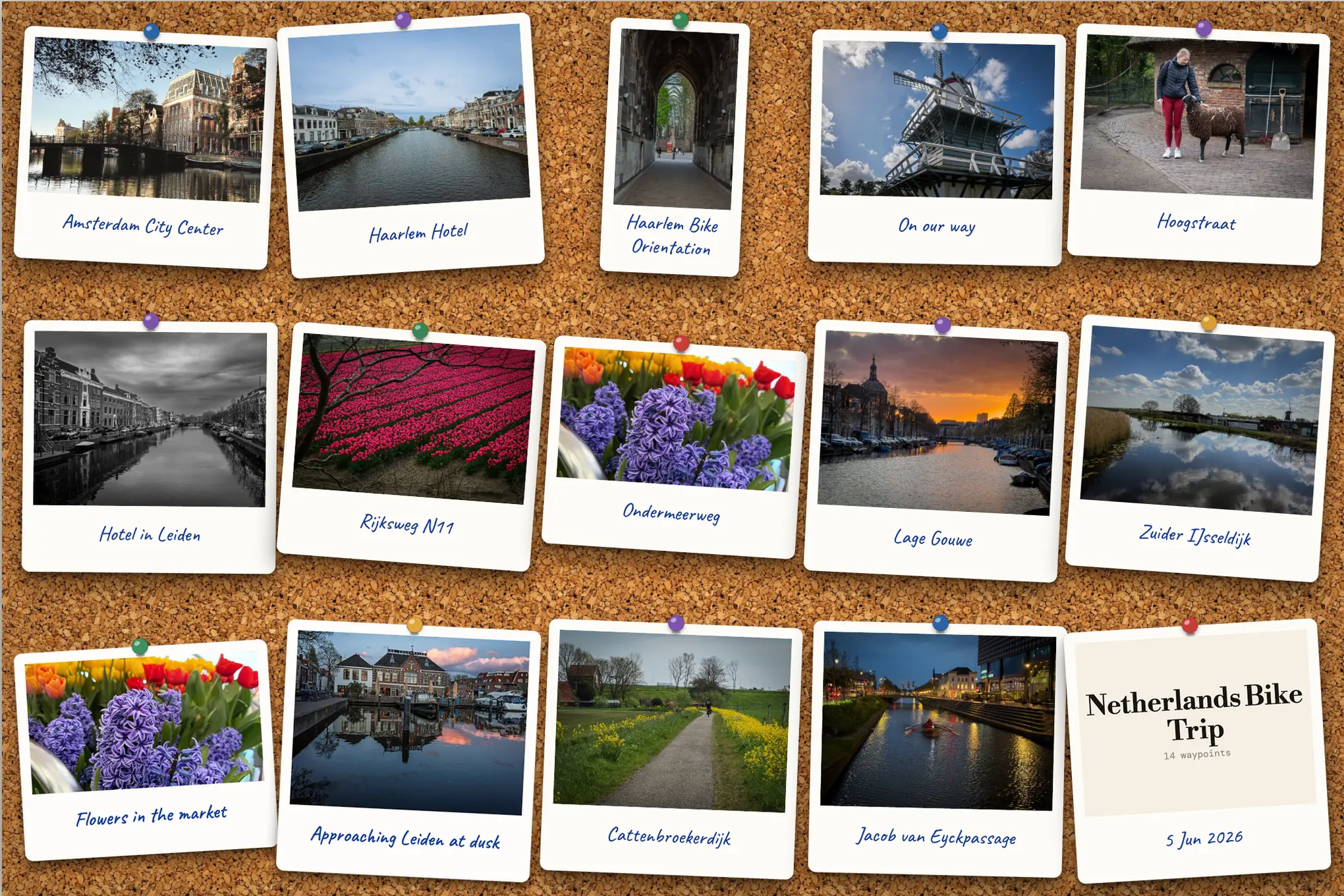 A Photo Snaps poster of a Netherlands bike trip: fourteen photographs, each printed as a polaroid with the place handwritten underneath, pinned to a cork board around a title card reading Netherlands Bike Trip.